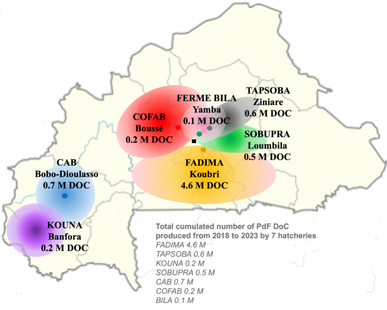 Figure 2: Poulet du Faso day-old-chick production per hatchery and their areas of operation.