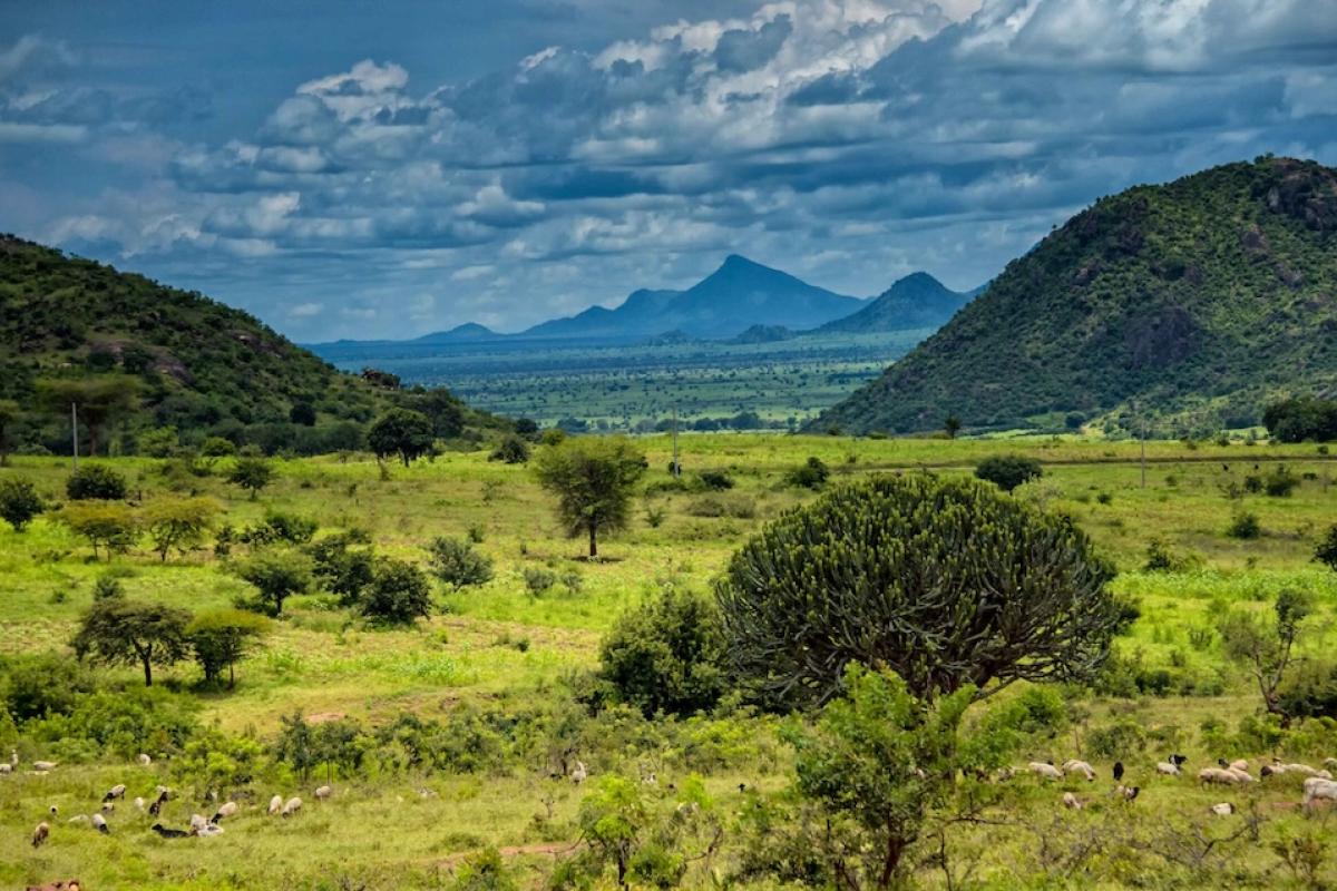 karamoj uganda scene