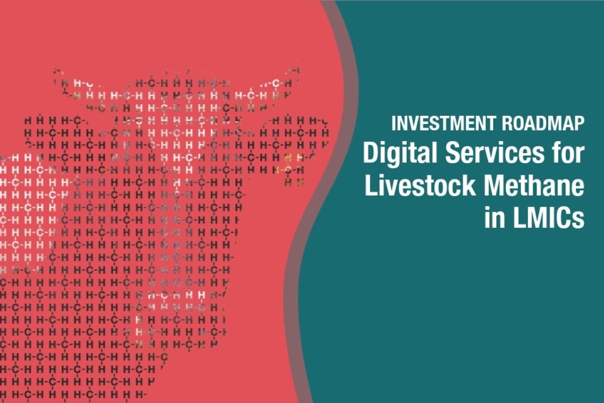 Digital Services for Livestock Methane in LMICs