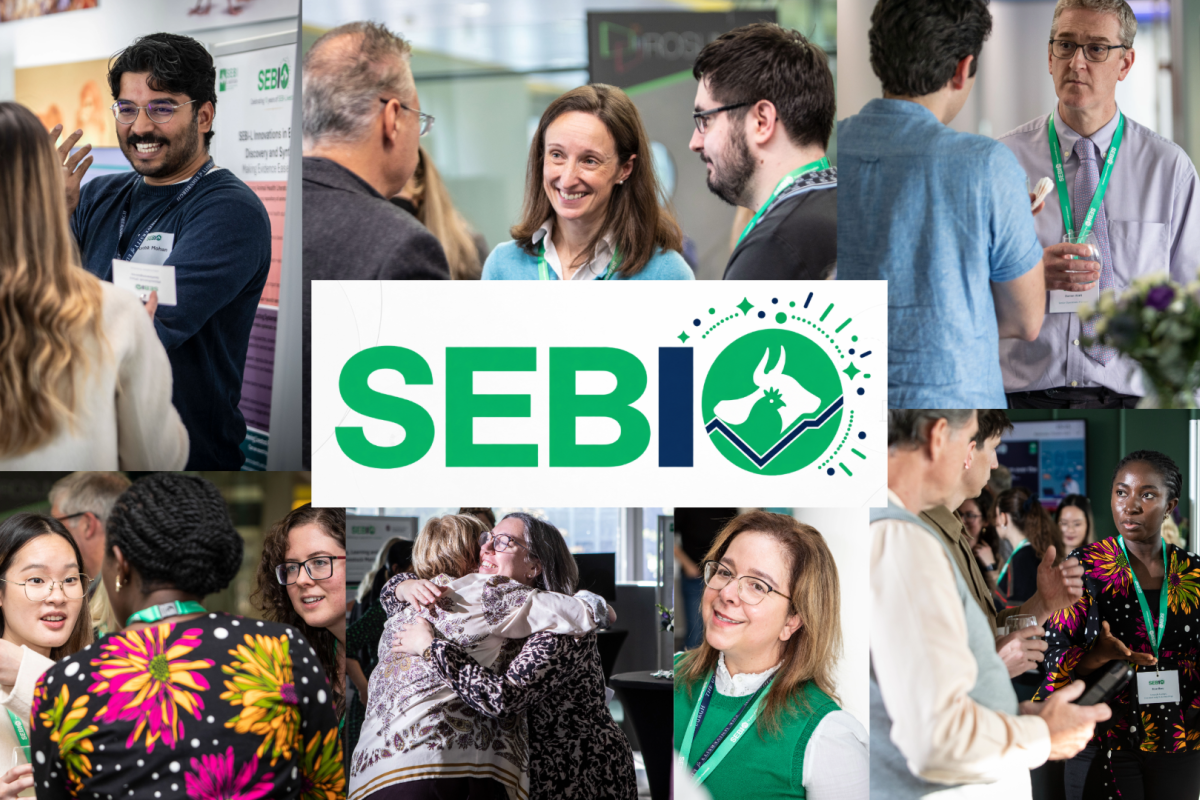 A collage of several photos depicting people chatting and smiling at an event. The SEBI-Livestock 10 year logo is in the middle of the image.
