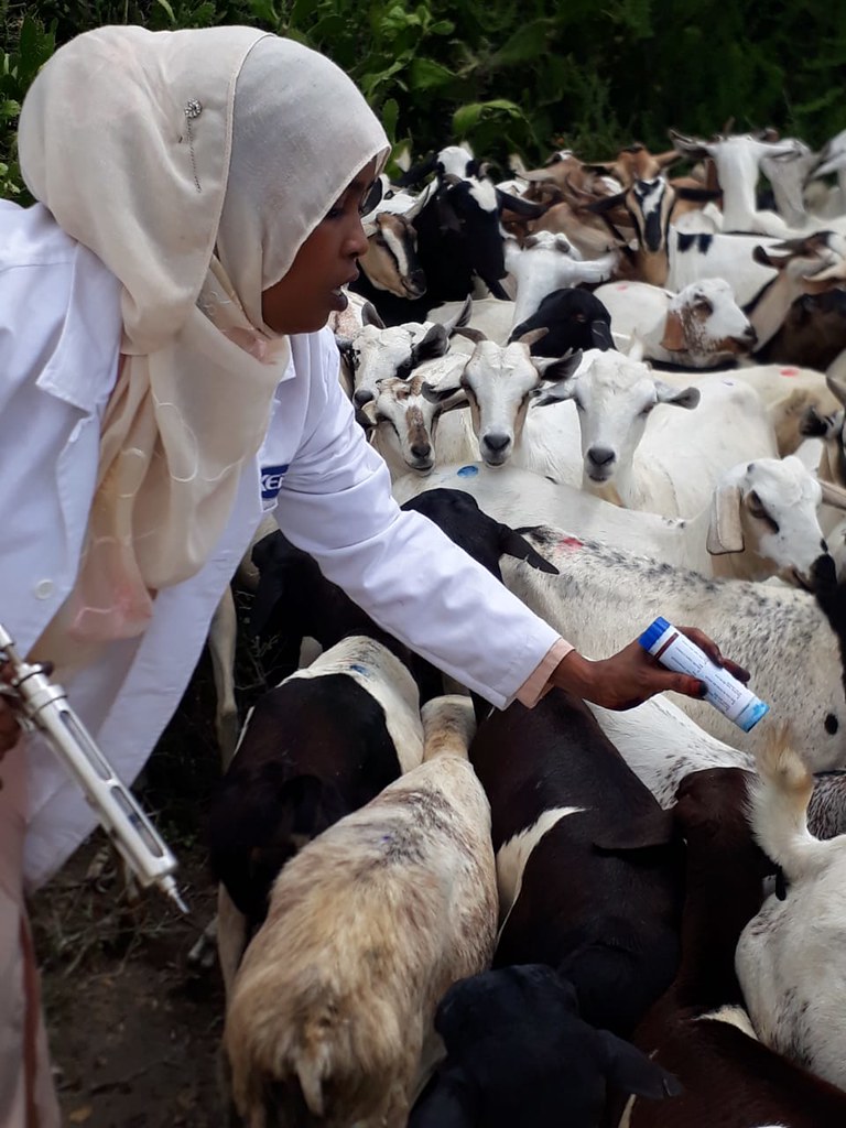 Monitoring and learning for livestock development projects SEBILivestock